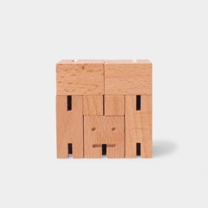 Cubebot Puzzle
